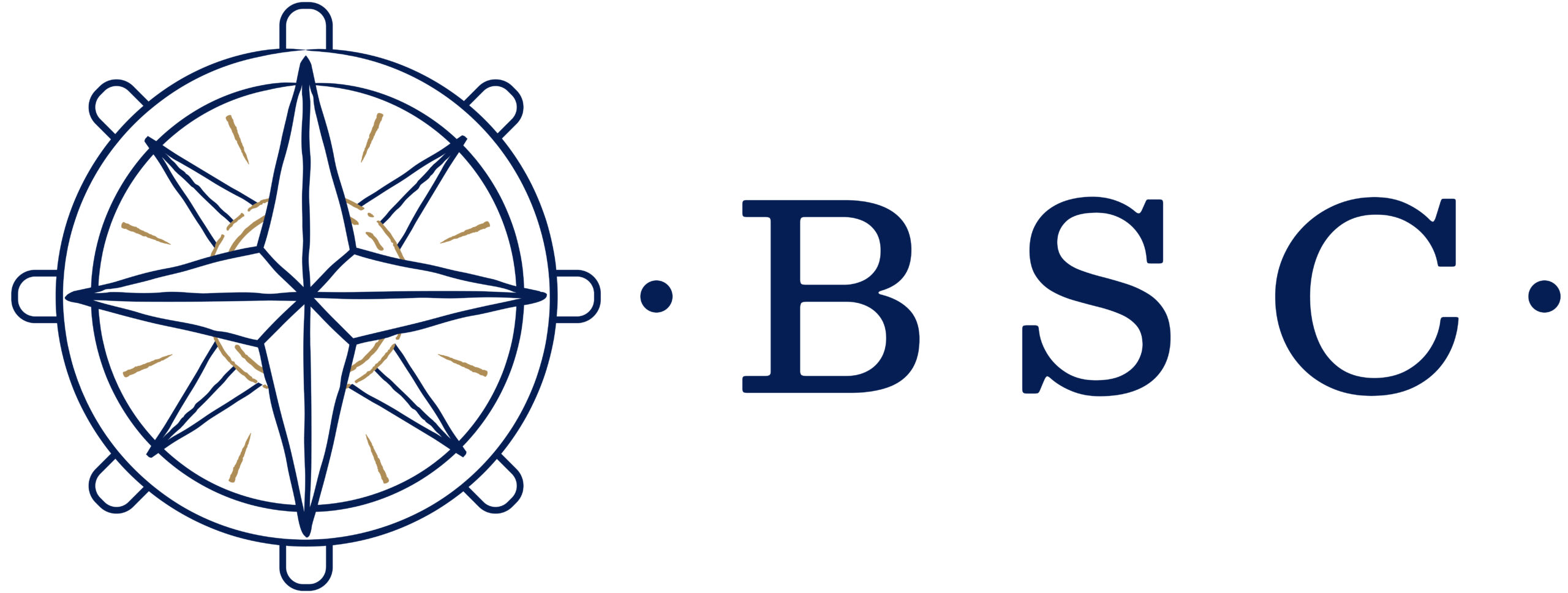 Cabinet BSC